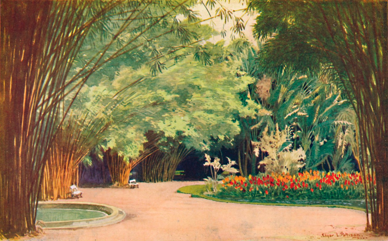 竹林-植物園、1914 作： エドガー・L・パティソン