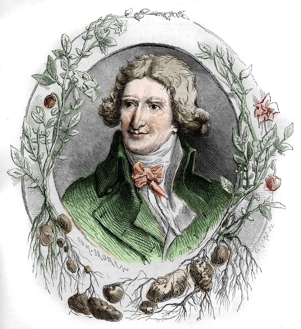 Antoine Augustin Parmentier (1737-1813)の肖像。エドモンド・モランの版画 作： エドモンド・モリン
