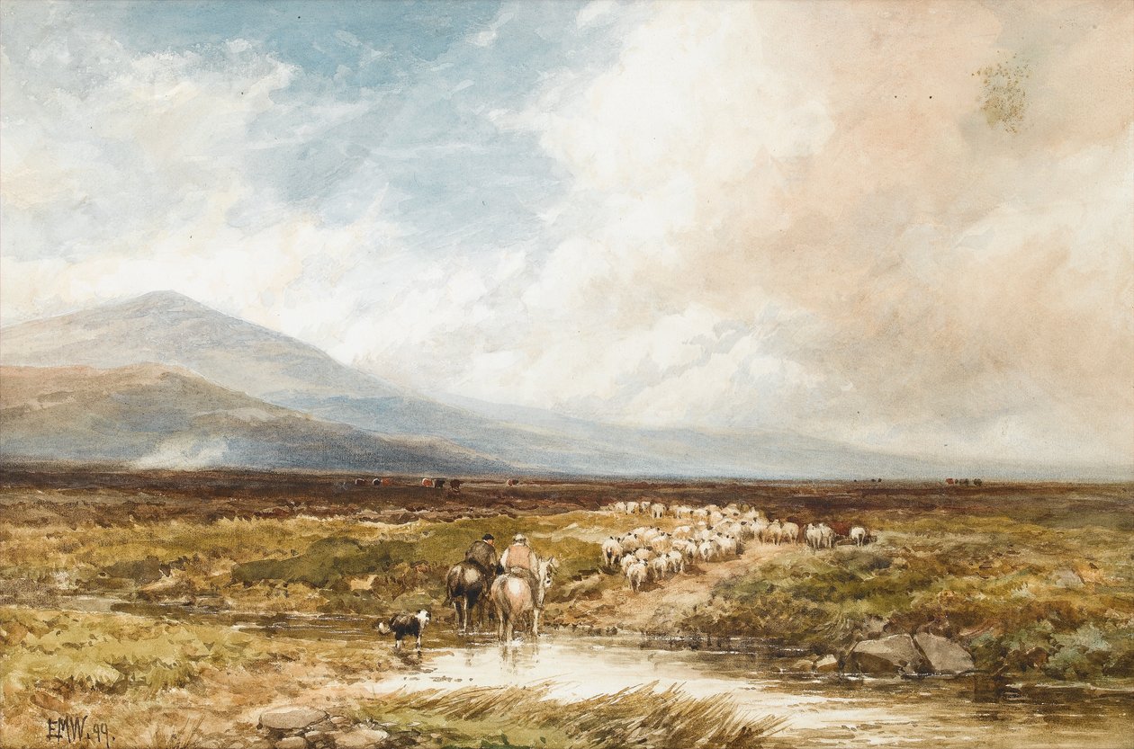 Tavy Cleave、ダートムーア、1899年（紙にトイレ） 作： エドモンド・モリソン・ウィンペリス