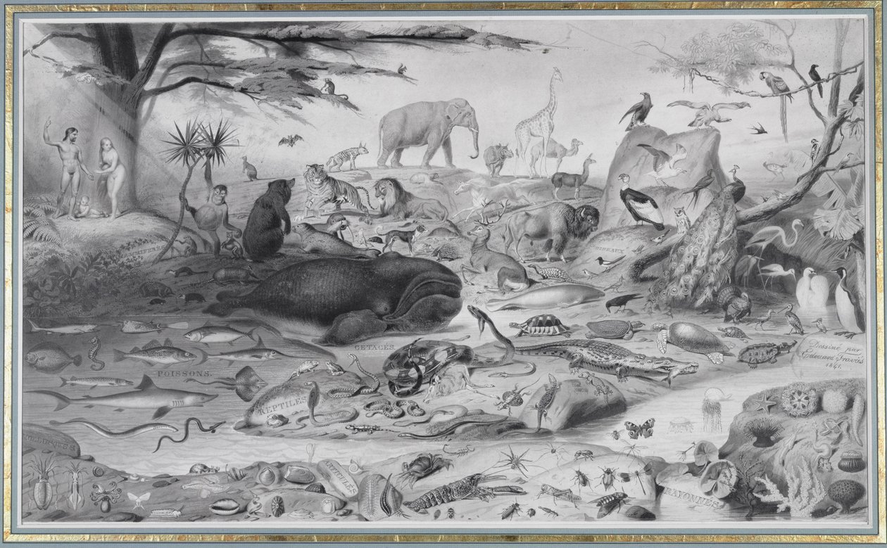 アダムとイブと動物、1841 作： エドゥアール・トラヴィス