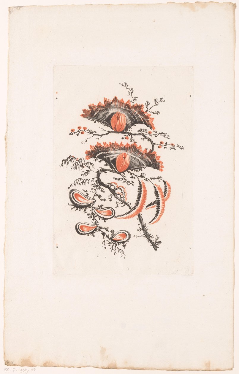 扇形の花 フルール・イデアル（シリーズタイトル） 作： Edouard Gautier Dagoty