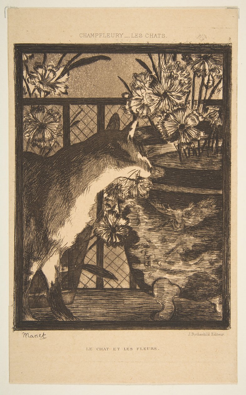 猫と花。 Champfleury、1869による猫のイラスト。 作： エドゥアールマネ