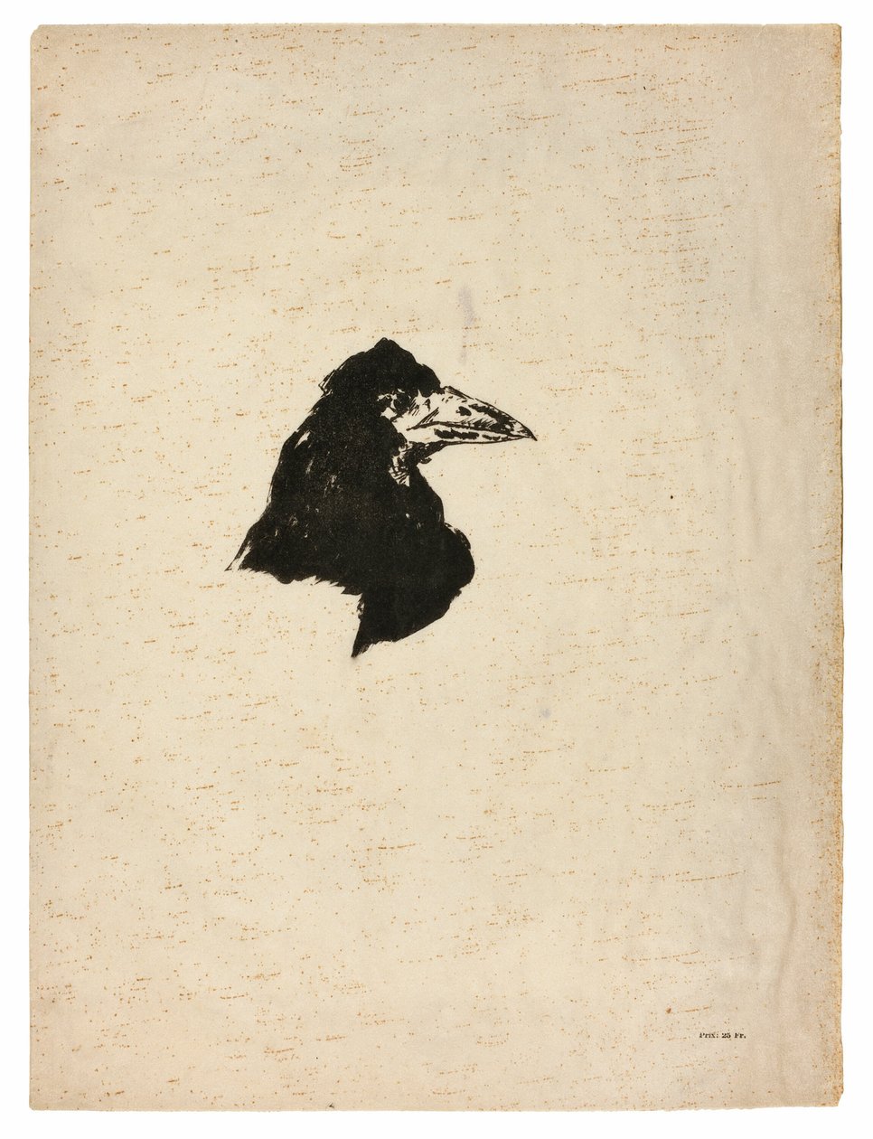 The Raven (Le Corbeau) の横顔の Raven の頭 作： エドゥアールマネ