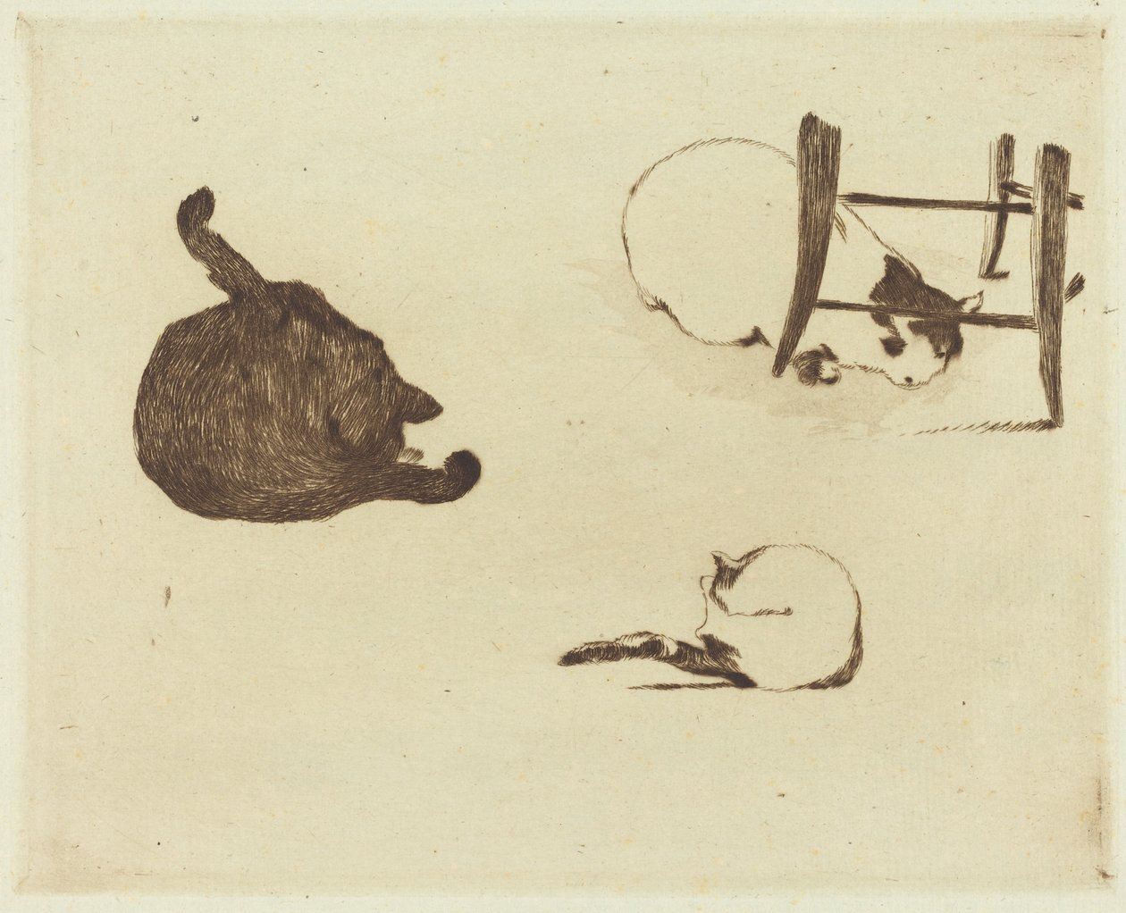 The Cats (レ チャット) 作： エドゥアールマネ