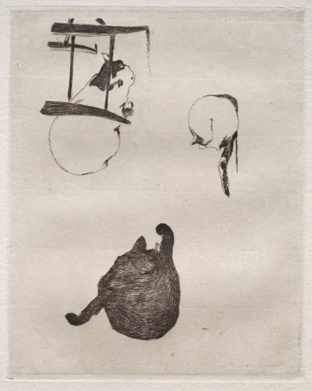 猫、1868-1869。 作： エドゥアールマネ