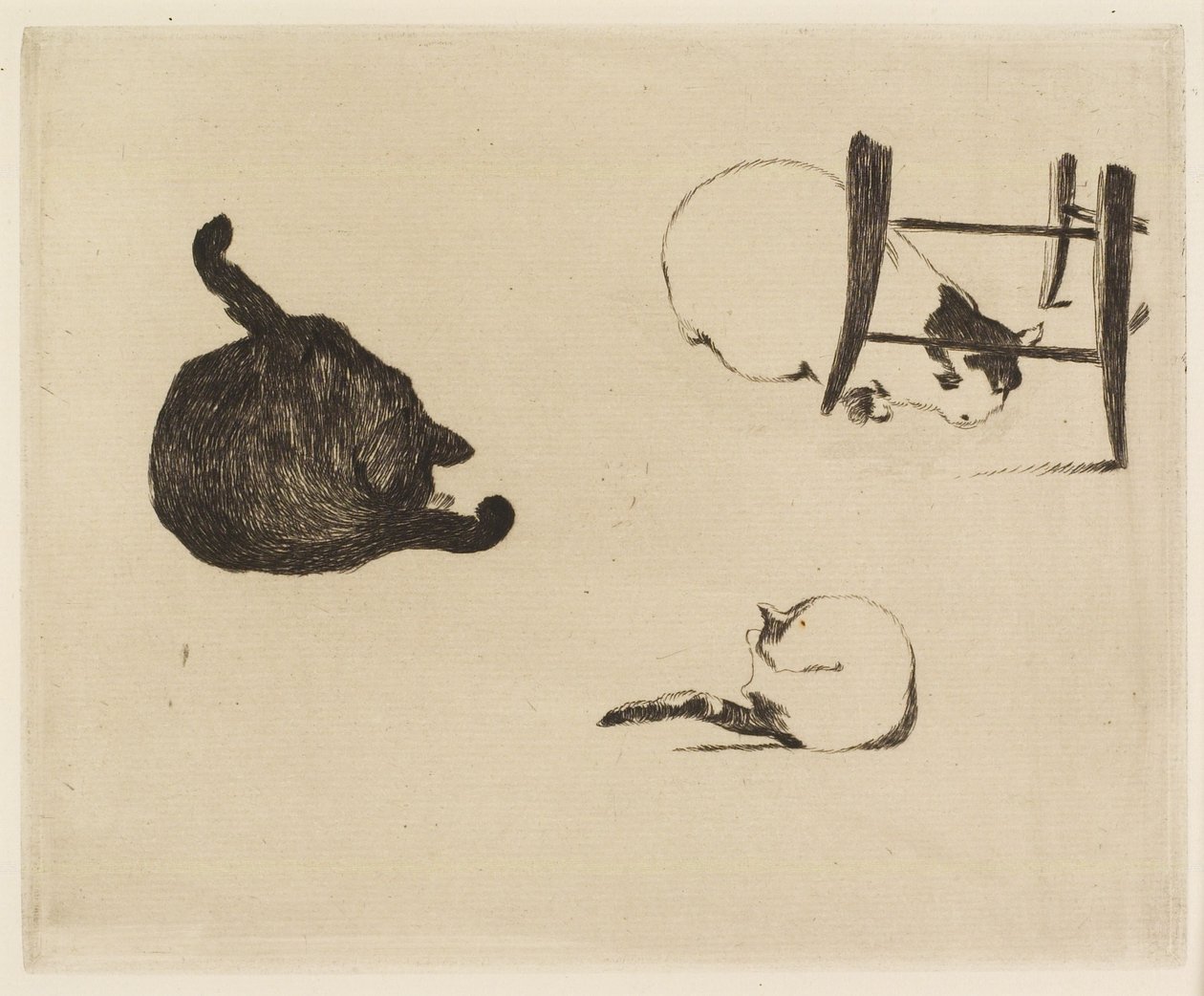 猫、1869 作： エドゥアールマネ