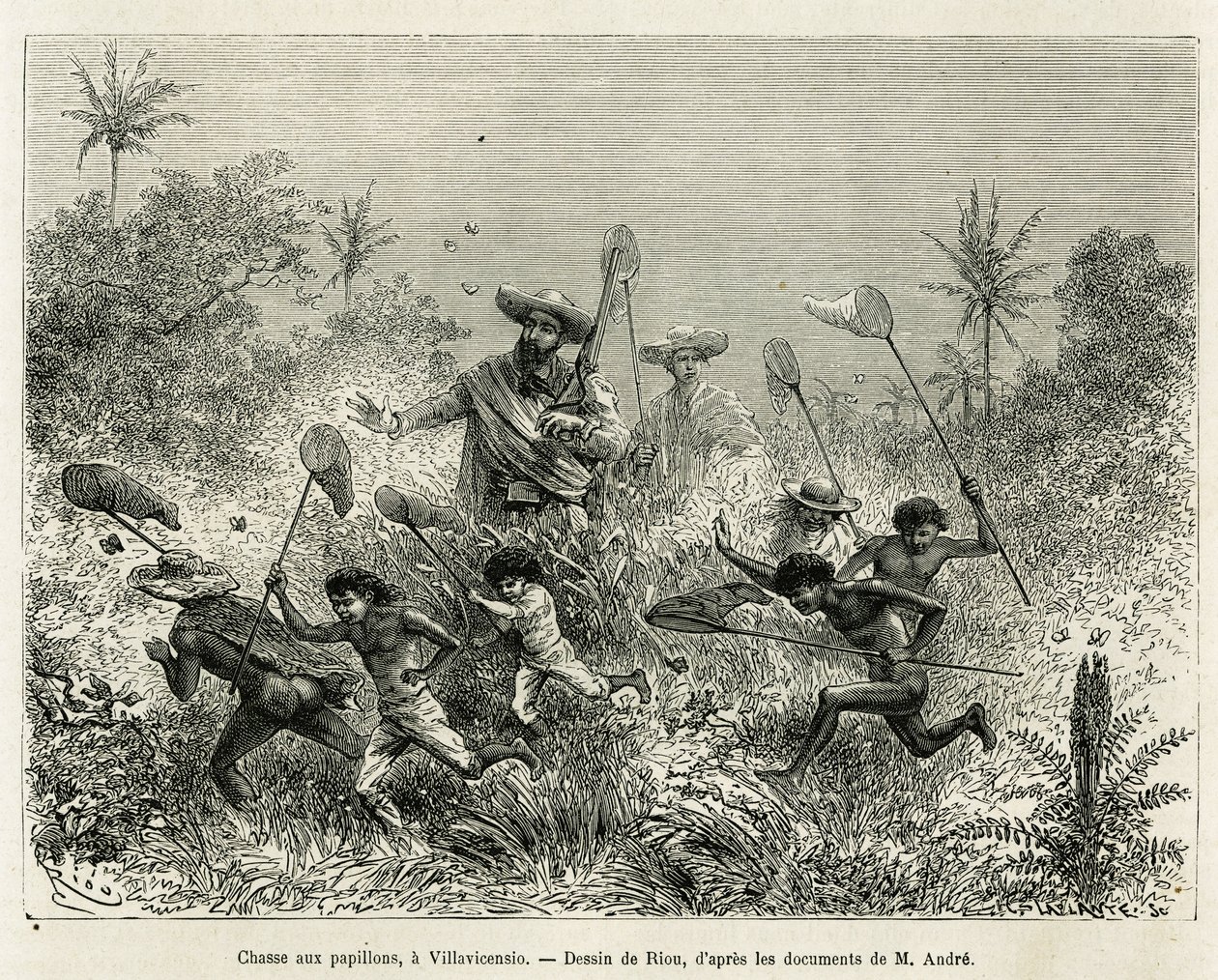 ビラビセンシオ（コロンビア）、リウが描いた「春分の日のアメリカ（コロンビア、エクアドル、ペルー）」の物語を説明するために、1875年から1876年にかけて、F.C.によるミッションを担当した旅行者、エド・アンドレが同行して、子供たちが蝶を狩った。 作： Edouard Riou