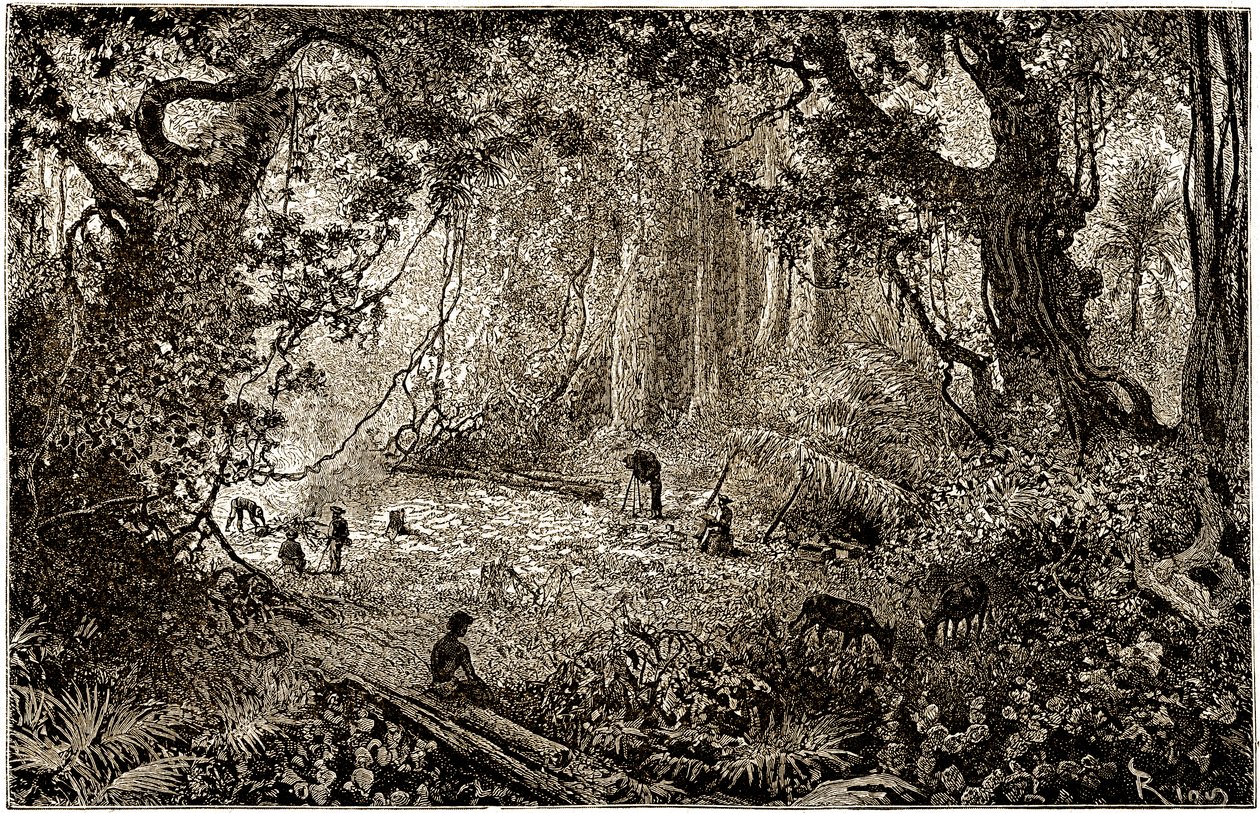 グアテマラにおける探検家キャンプの設置（1882年） 作： Edouard Riou