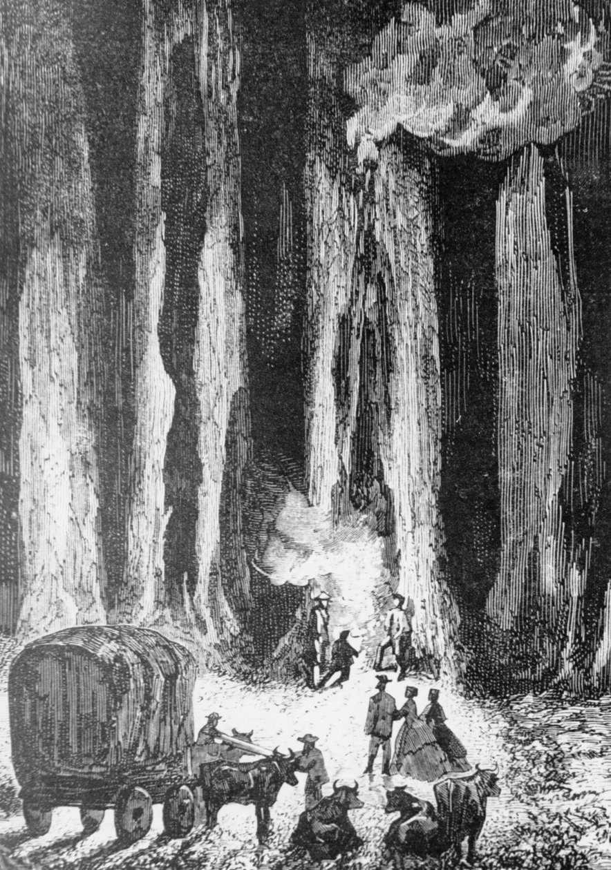 Le soir venu、campa au pied d