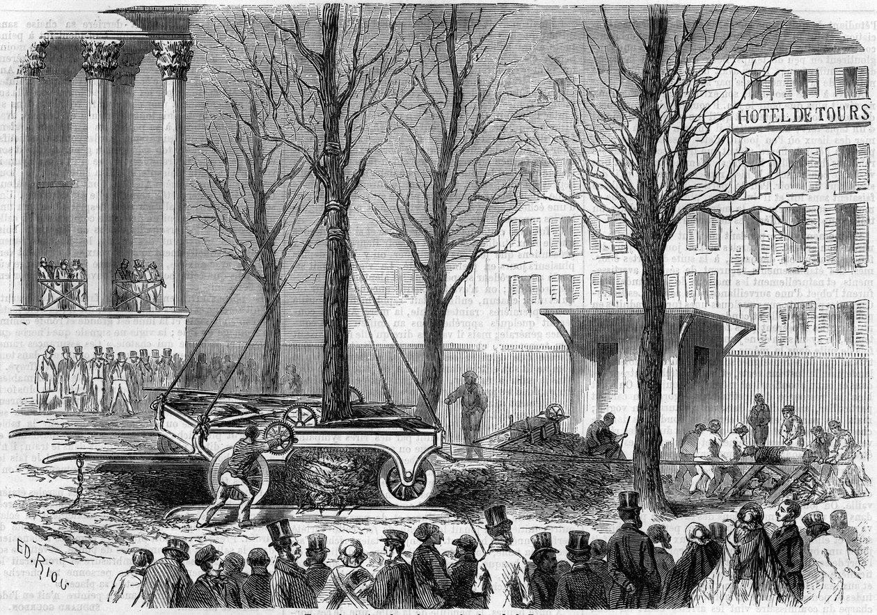 1858年の冬、パリの証券取引所広場で行われた植樹の様子。1858年2月27日付「Le Monde Illustré」46号に掲載されたリウの版画。 作： Edouard Riou