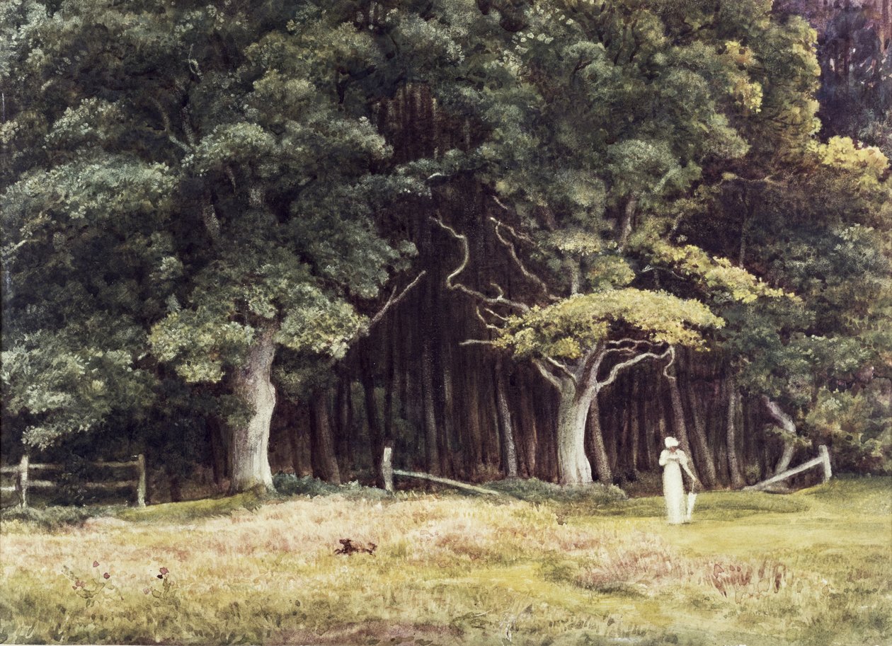 森の風景、1900年頃 作： エドワード・ジョン・ポインター