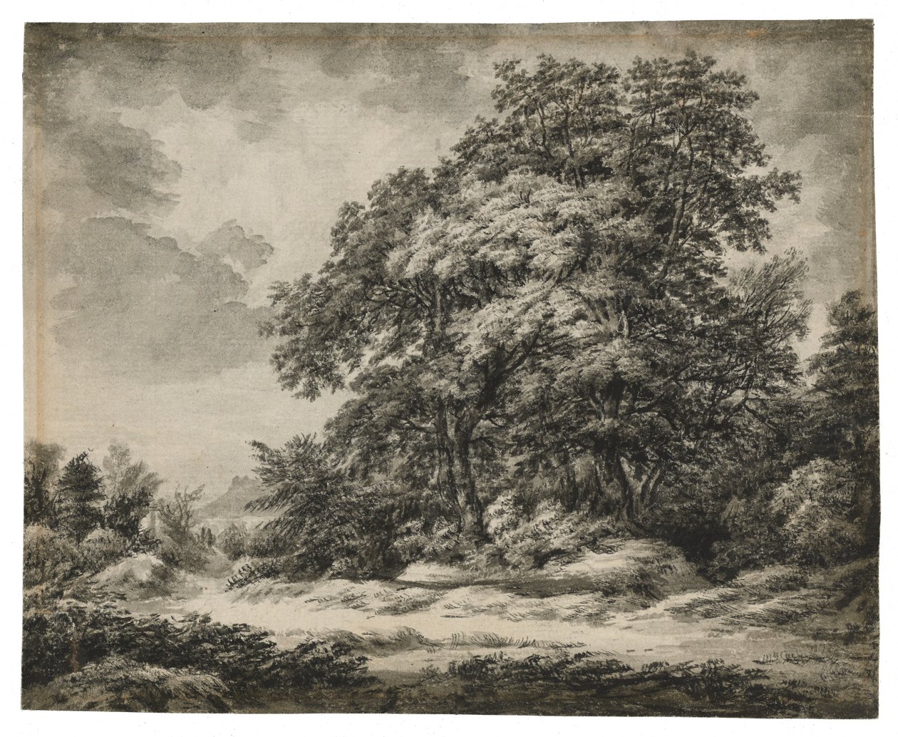 森林景観（直腸）、c。 1838-1848（敷き紙にインクとウォッシュ） 作： エドワード・リア