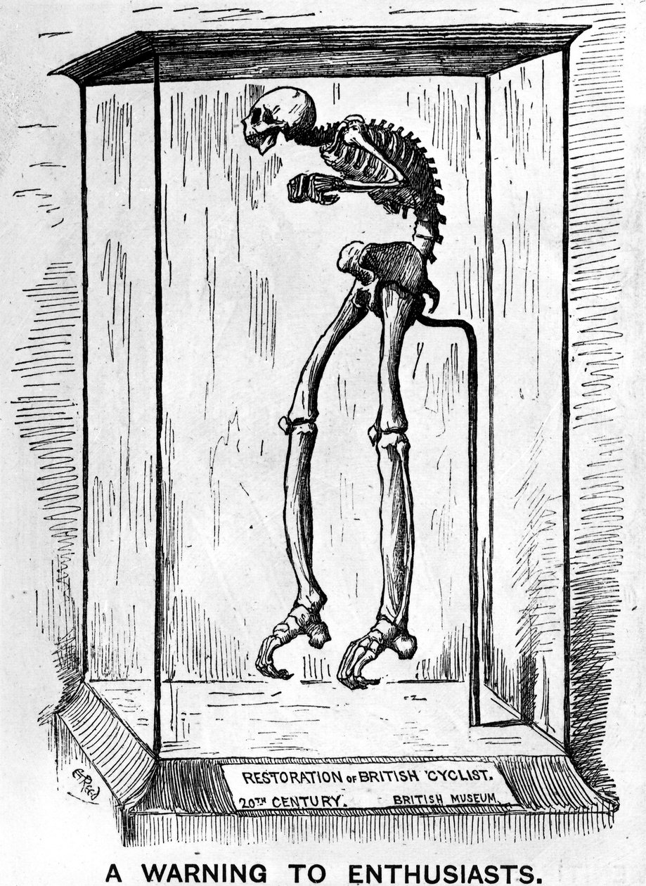 1889年7月6日の「パンチ、またはロンドンチャリバリ」に掲載された愛好家への警告 作： エドワード・テニスン・リード