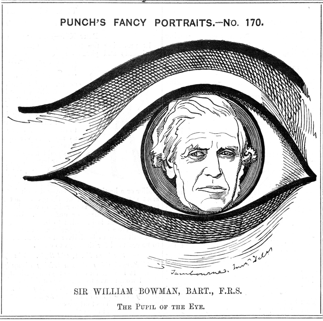 ウィリアムボーマン、イギリスの解剖学者、外科医、眼科医、1884年 作： エドワード・リンリー・サンボーン