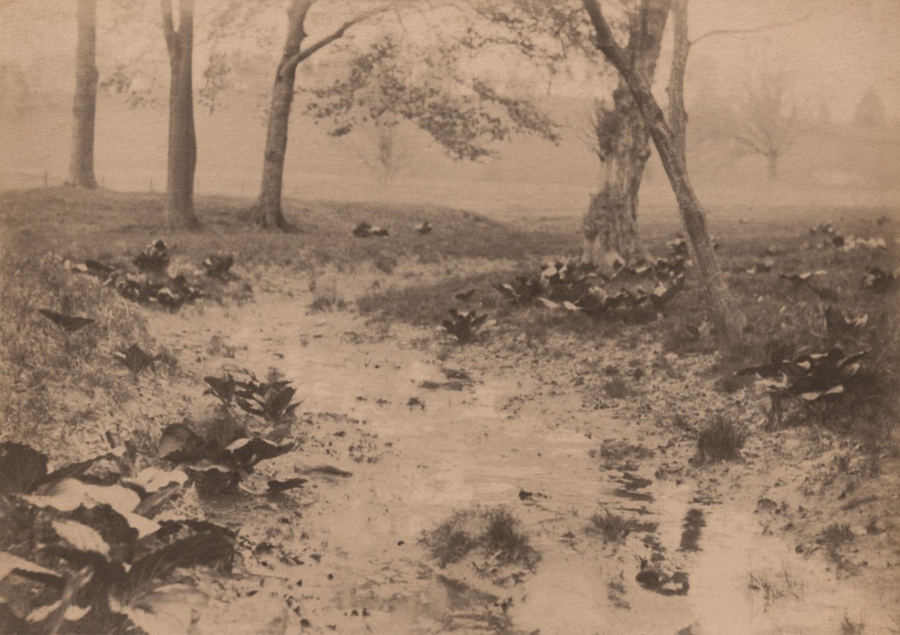 春の風景、1890年代（写真） 作： エドワード・ウィリス・レッドフィールド