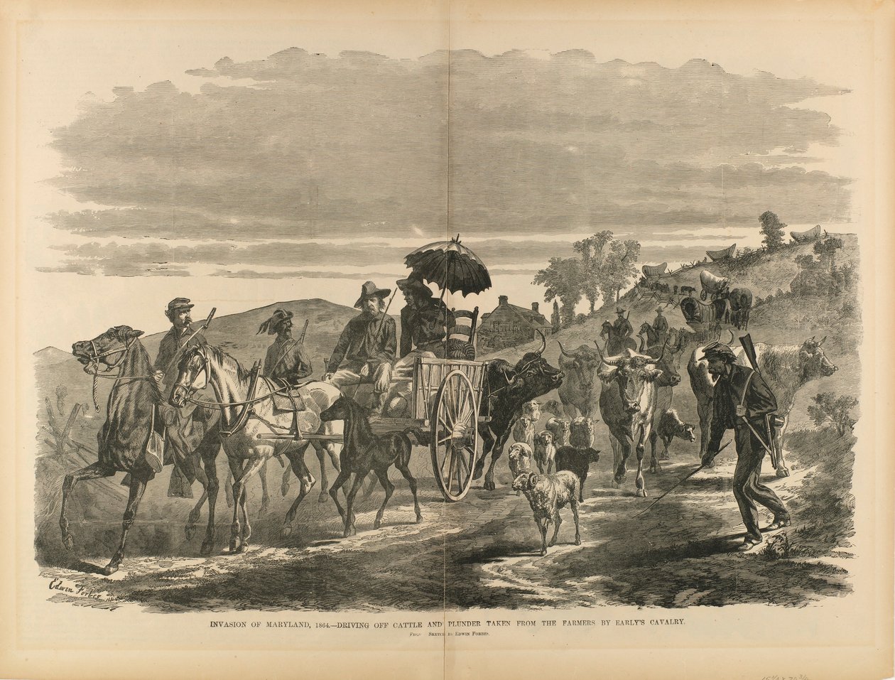 1864年メリーランド侵攻--アーリー騎兵隊が農民から奪った牛と略奪品を追い払う（『南北戦争の兵士たち』より 作： エドウィン・フォーブス