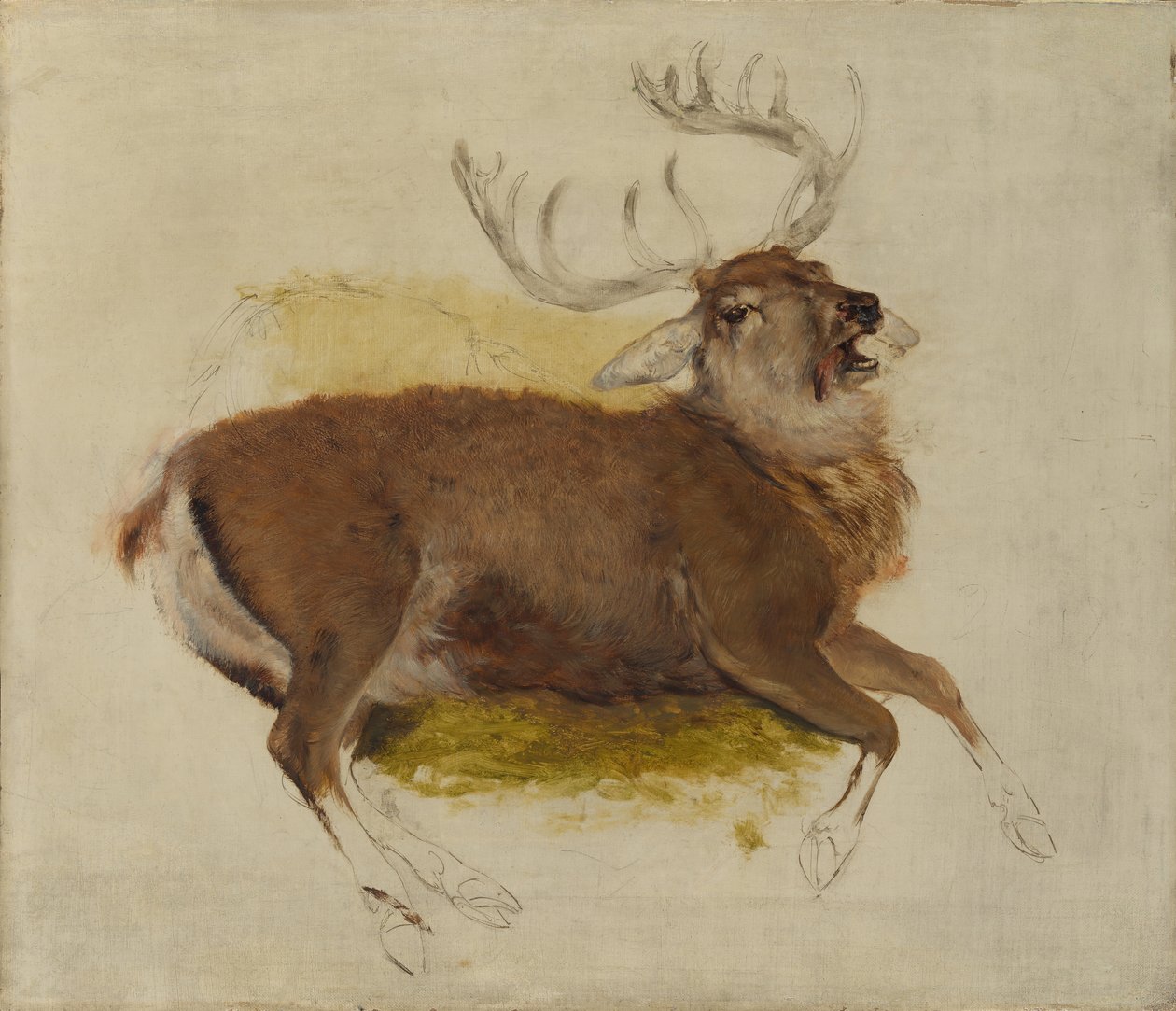 瀕死のクワガタ、ca。 1830年。 作： エドウィン・ランドシーア