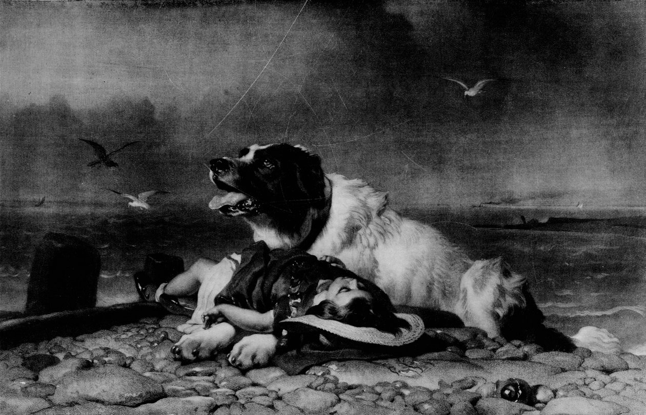保存！、c1856、1911 作： エドウィン・ランドシーア