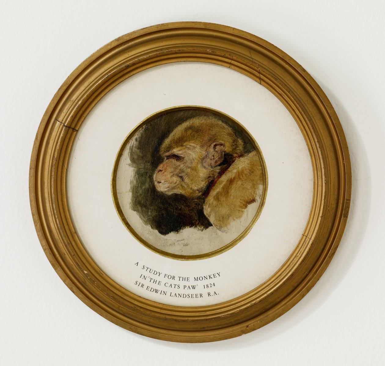 1824年の「猫の足」でのサルの研究（オーク材のパネル上のオイルとグラファイト）（488012も参照） 作： エドウィン・ランドシーア