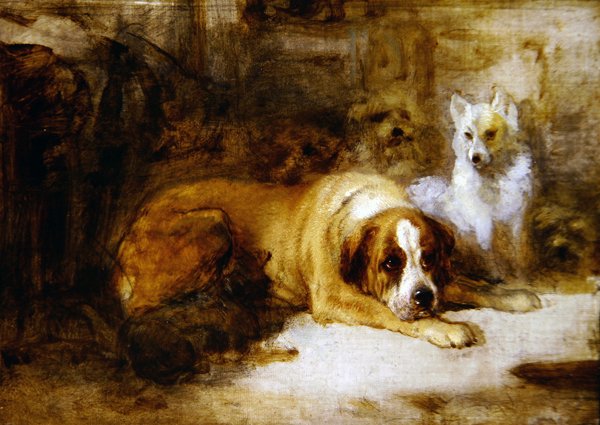 犬の習作（油彩、鉛筆、キャンバス） 作： エドウィン・ランドシーア