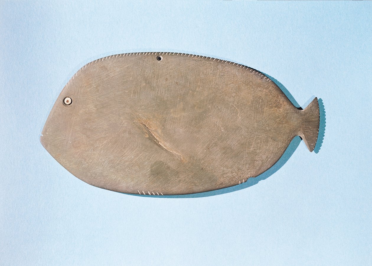 魚の形をしたパレット、運動前期（紀元前5000〜3100年）（片岩） 作： エジプト人