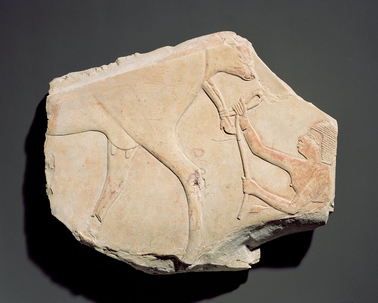 テベ、アサシフ、第3中期（c.1069-664 BC）の子牛の誕生を描いたレリーフの断片（石灰岩） 作： エジプト人
