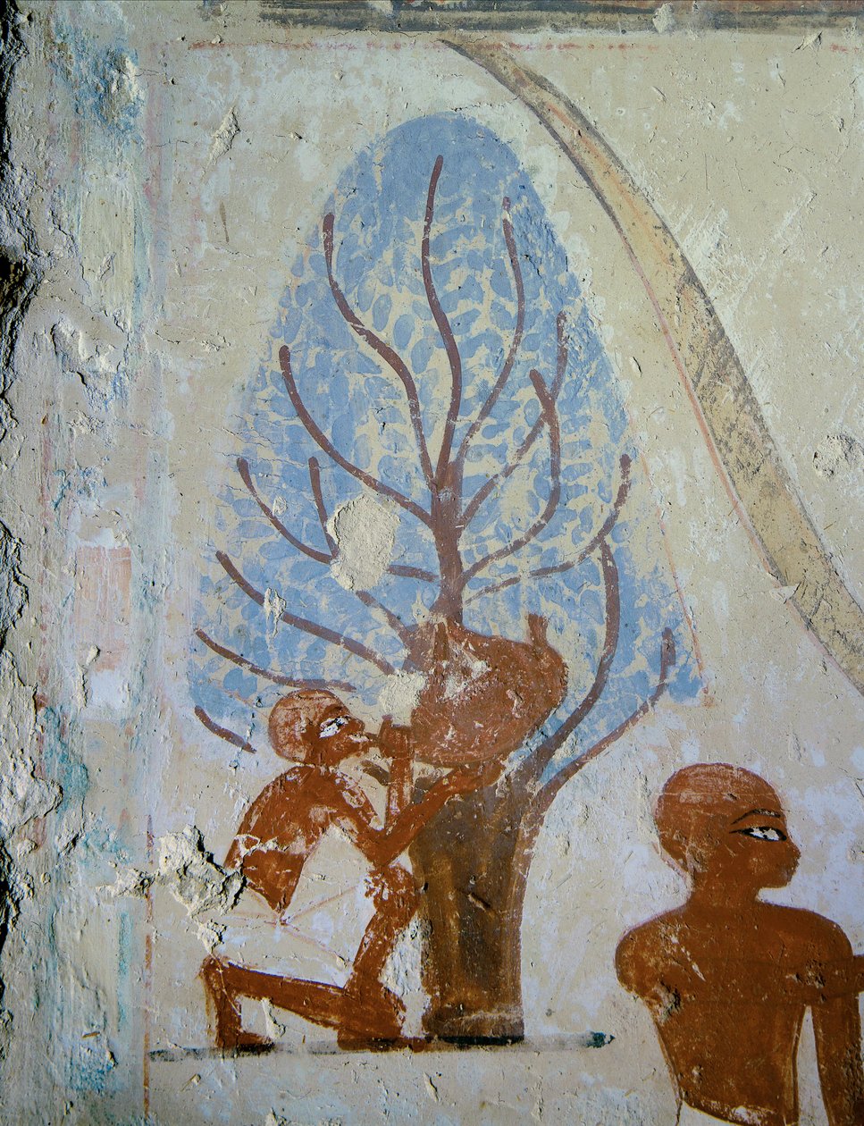  作： エジプト第18王朝