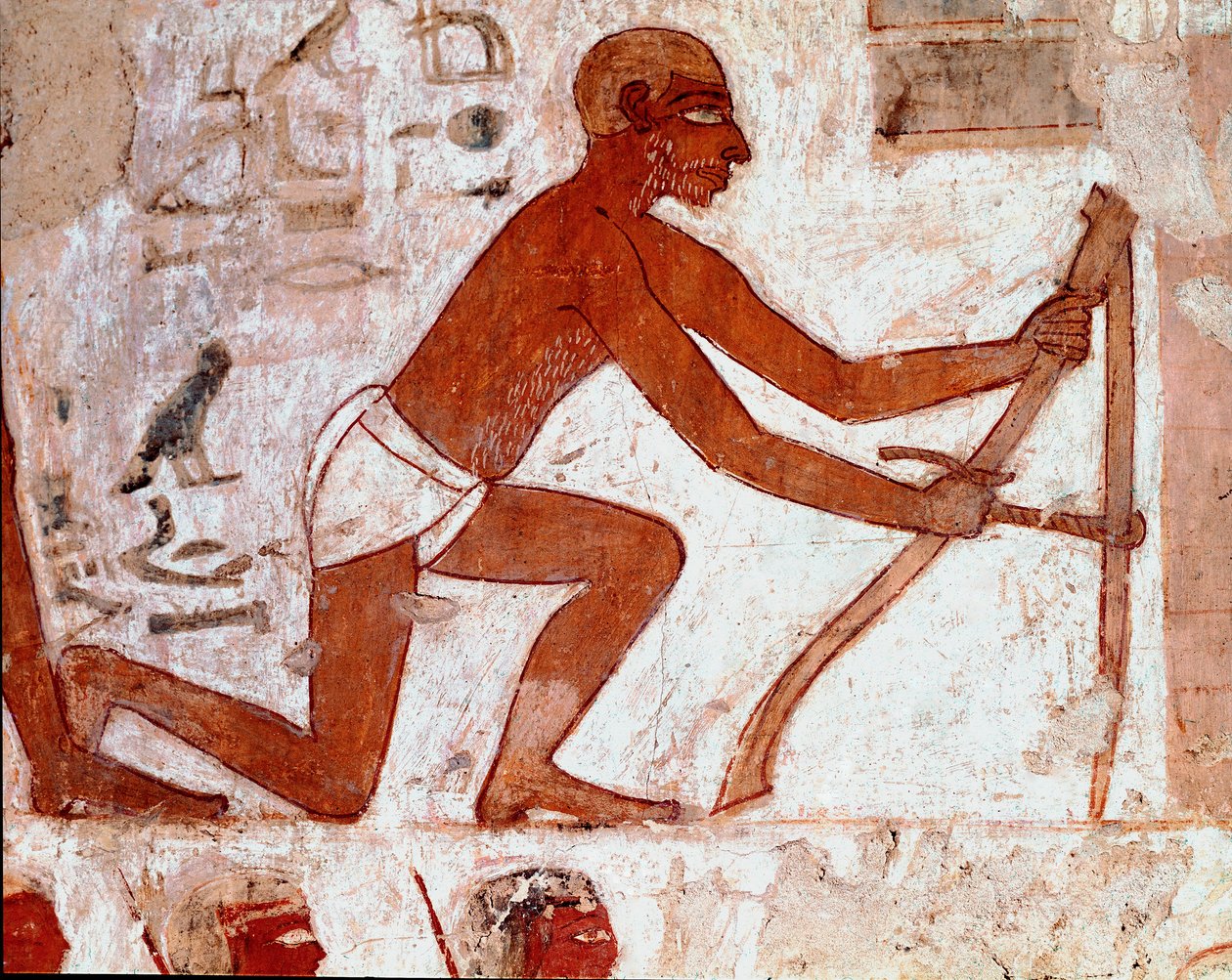 エジプトのアート。レックマイルの墓。農具を持って働くプランチャー