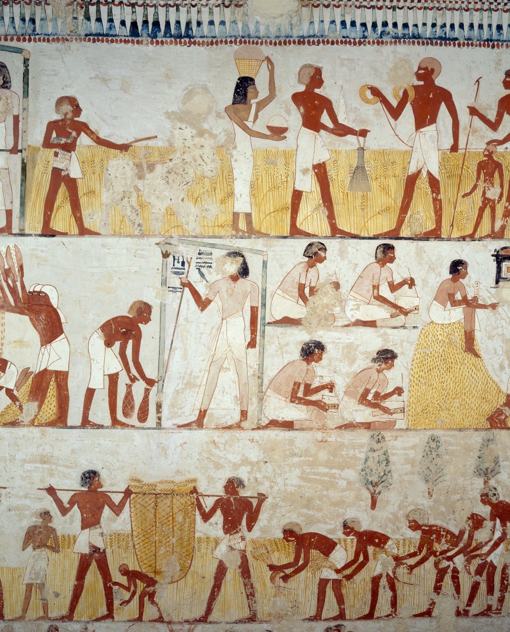 穀物の収穫、脱穀と唐箕、ルクソール、テーベのシェイク・アブド・エル・クルナ墓地、メンナの墓の前庭のフレスコ画の詳細（ユネスコ世界遺産 作： エジプト第18王朝