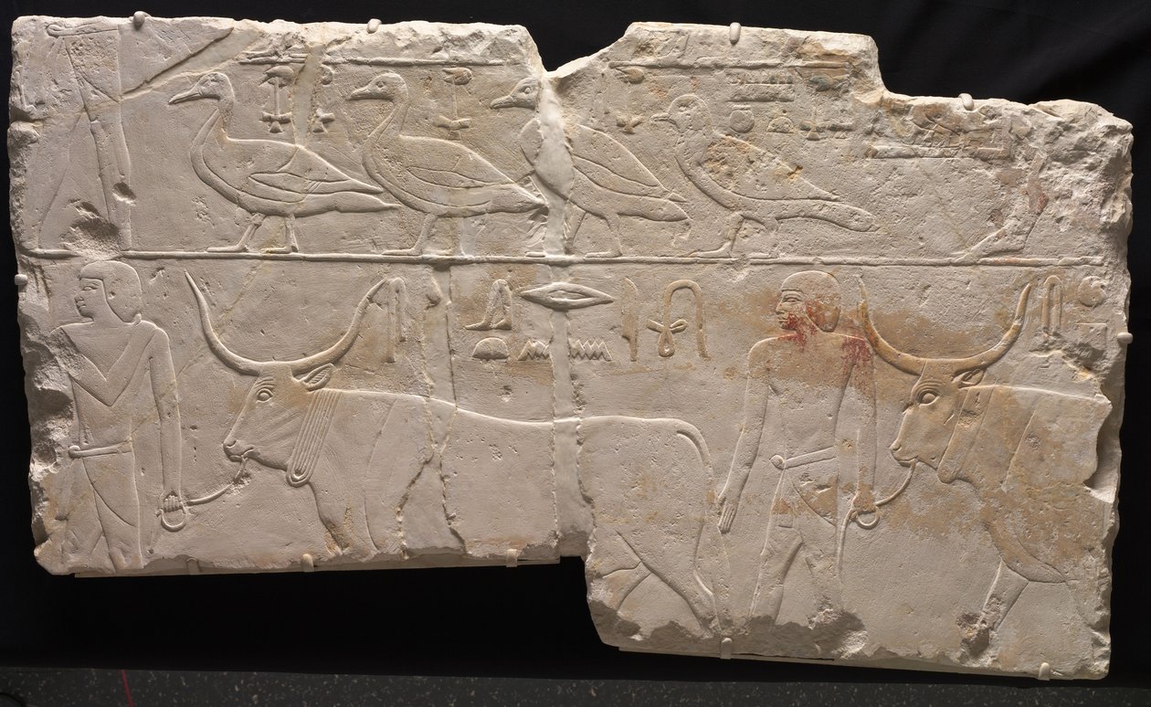 鳥や牛を連れてくる男性の救済、紀元前2311- 2281年 作： エジプト第6王朝