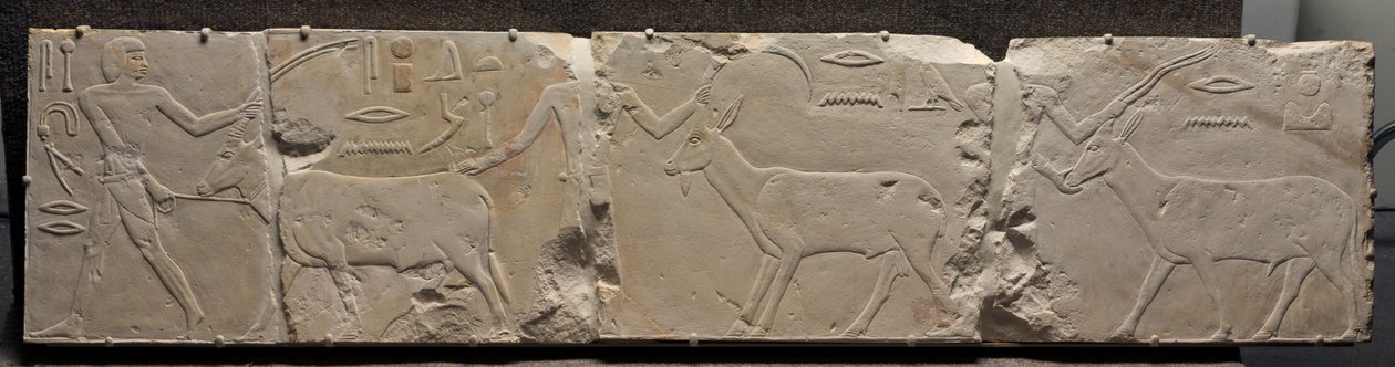 砂漠の動物をもたらす男性の救済、紀元前2311- 2281年 作： エジプト第6王朝