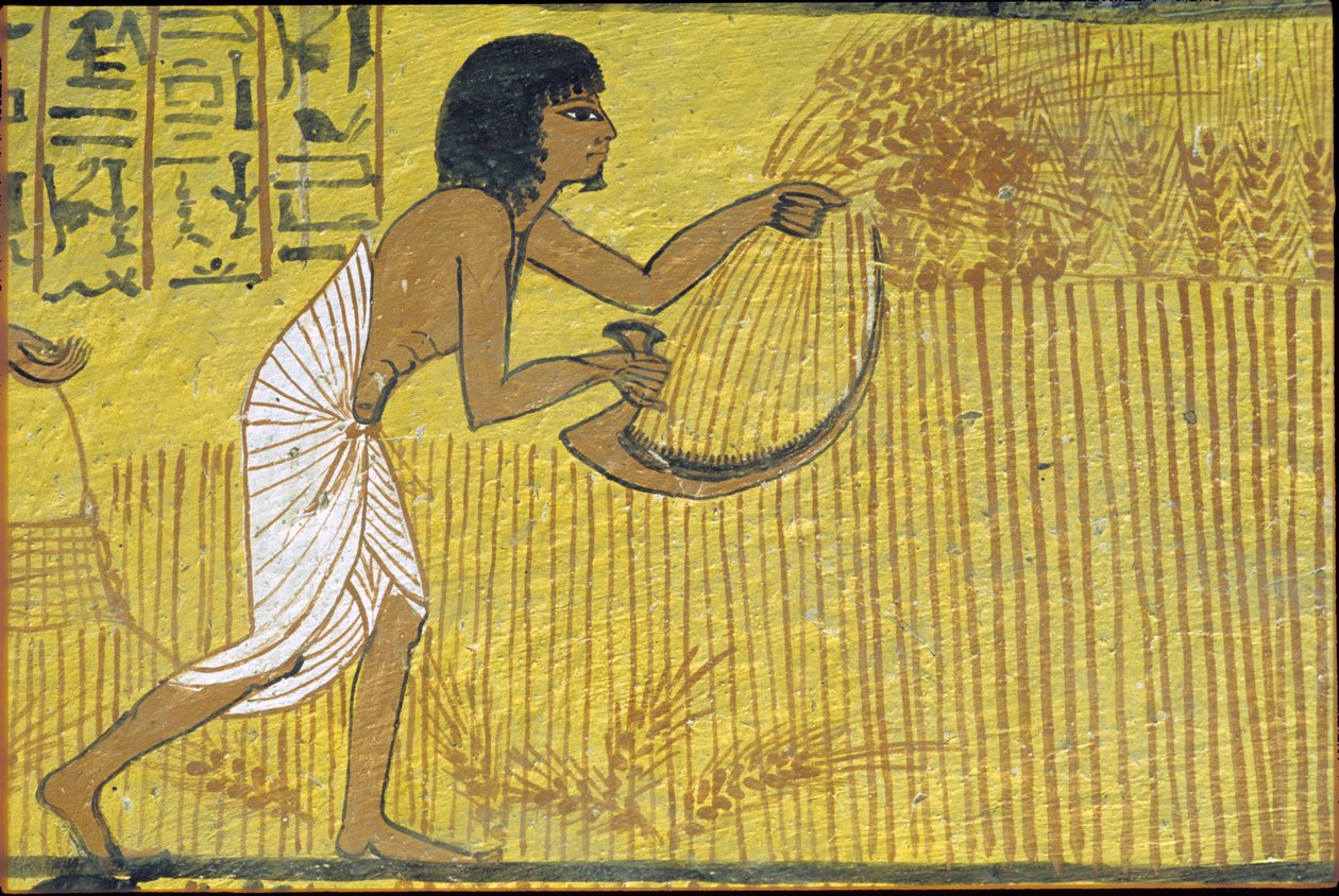 古代エジプト、壁画、セネデムの墓、貴族の墓、テーベ、デイル・エル・メディナ 作： エジプトのエジプト人