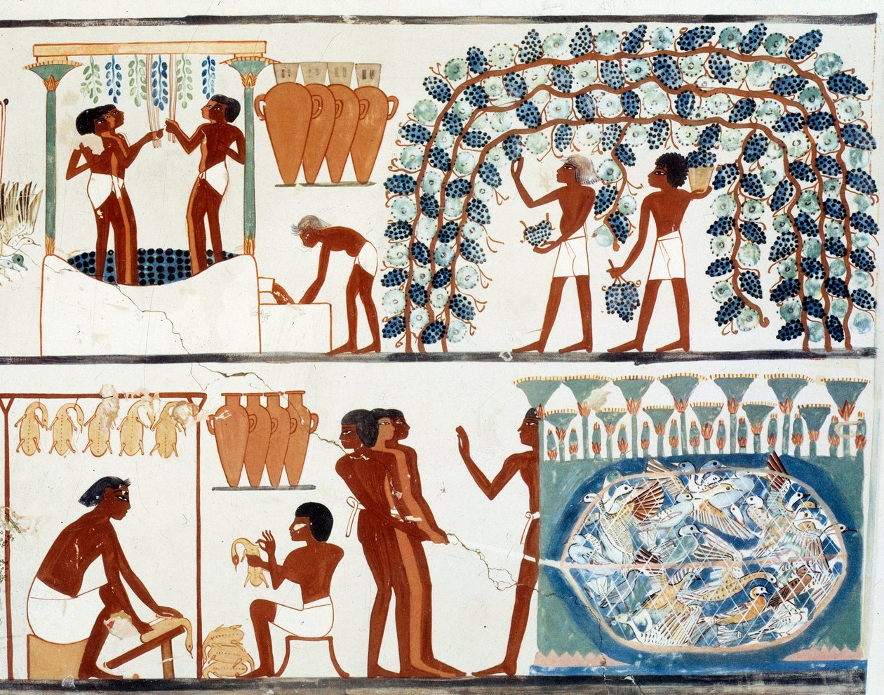 アート・エジプト：ブドウの収穫と踏査。ナクトの墓のシミール