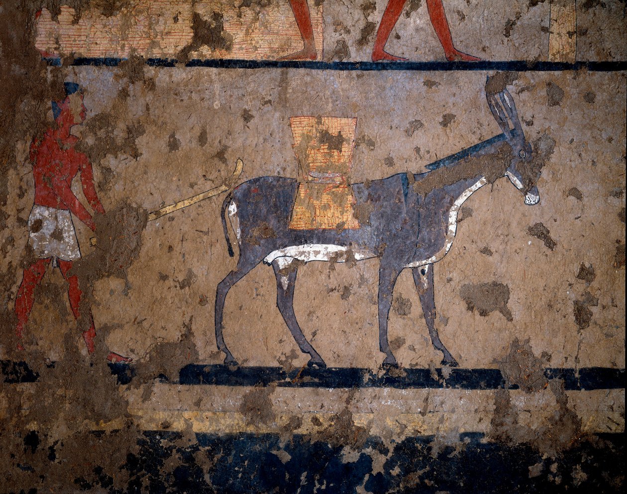 エジプトのアンティーク。"the transport of grain on a mule" 紀元前2200-2000年、イティ王（またはイティ）の首相の墓の壁に描かれたテンペラ画。ルクソールのエル・ゲベレンから。トリノ、エジプト博物館 作： エジプトのエジプト人