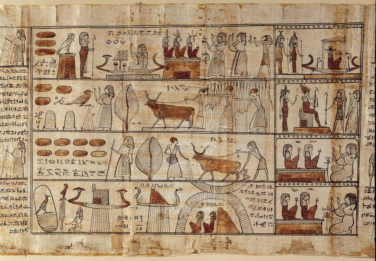 0460　パピルス 古代 エジプト 紙 絵画 0460パピルス 古代 エジプト 紙 絵画