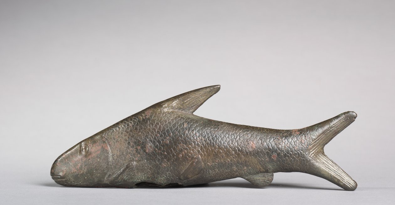 Lepidotus Fish、グレコローマン時代、紀元前305〜30年 作： エジプトのプトレマイオス朝