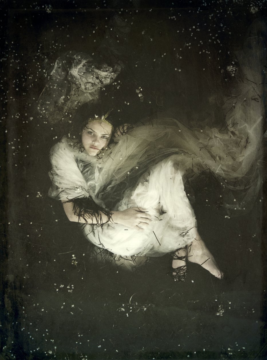 Floating bride II, 2013（スクリーンプリント） 作： エリンレティシア・ヘガボ
