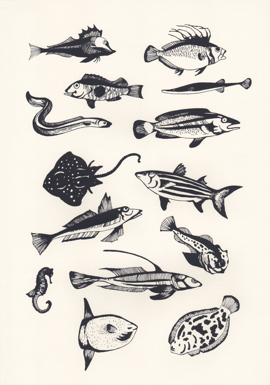Monotone Plain Fish、2015年（スクリーンプリント） 作： エリザ・サウスウッド