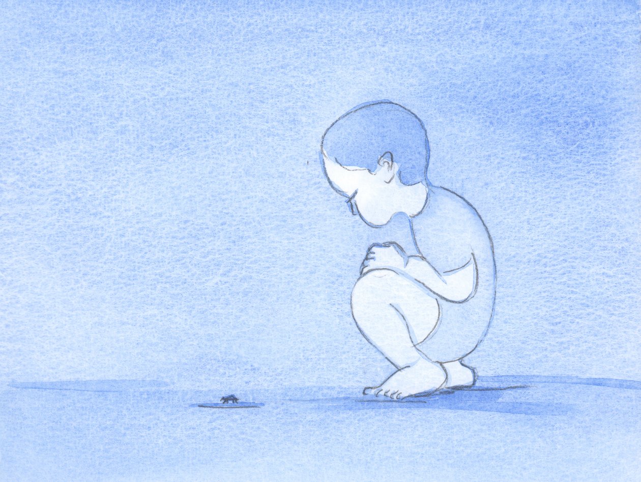 この子供が観察する昆虫のようなすべての奇妙な生き物は、神の寛大さと人間の喜びのために作られました。それでも今、私たちは不完全で自然が乱れている、2002年（紙にw - c） 作： エリザベス・ワン