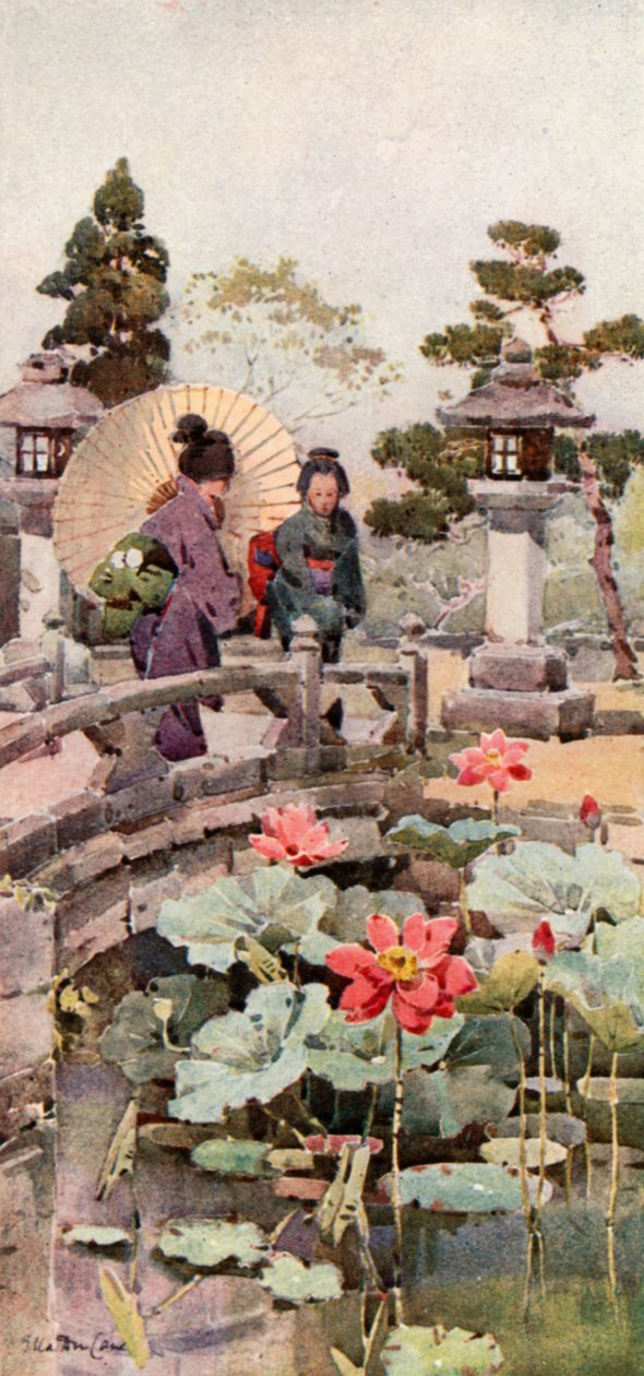 蓮の花（カラーリトグラフ） 作： エラデュケイン
