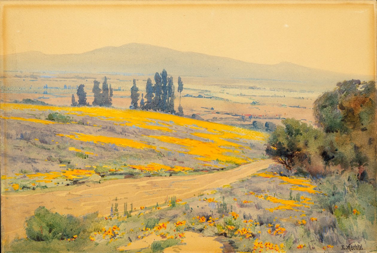 カリフォルニアの春の風景 作： エルマーウズラ