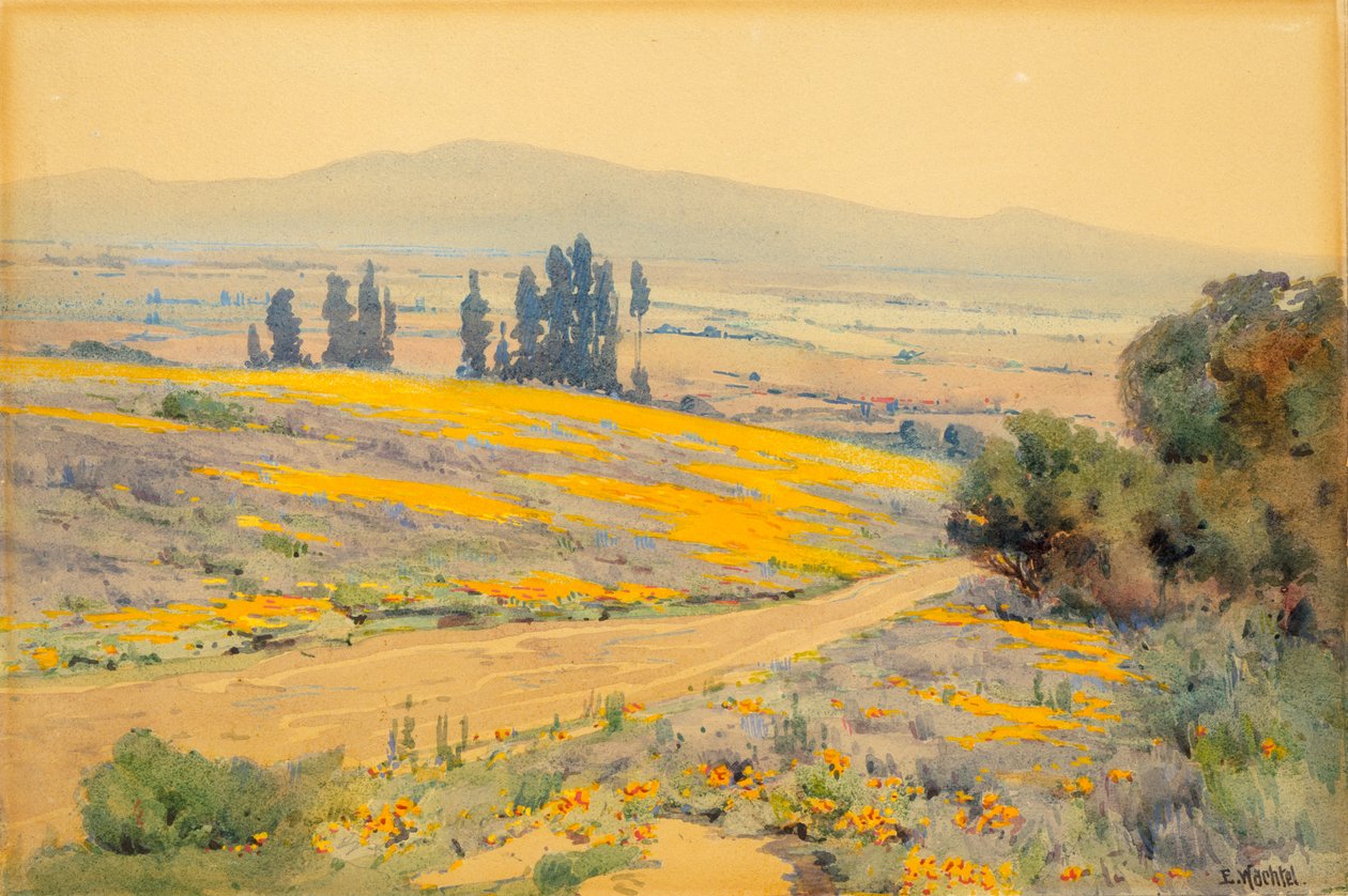 カリフォルニアの春の風景、カリフォルニア州。 1920年。 作： エルマーウズラ