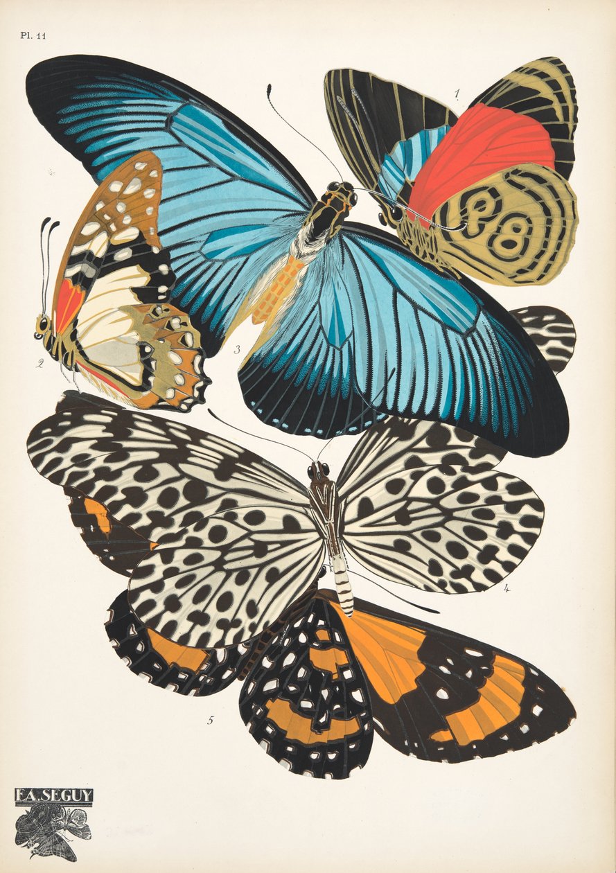 プレート 11、Butterflies、パブから。 1925年（ステンシルプリント） 作： エミール・アラン・セギ