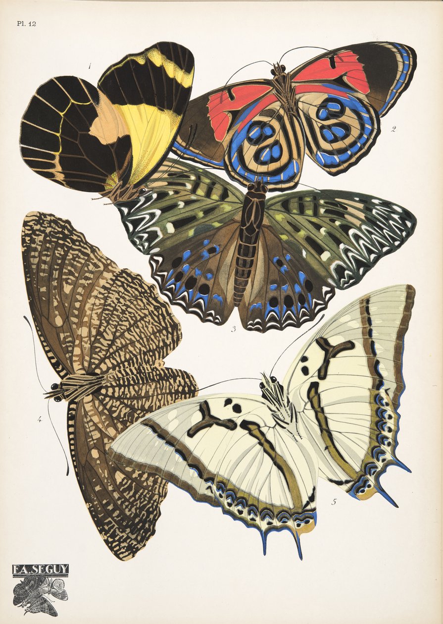 プレート 12、Butterflies、パブから。 1925年（ステンシルプリント） 作： エミール・アラン・セギ