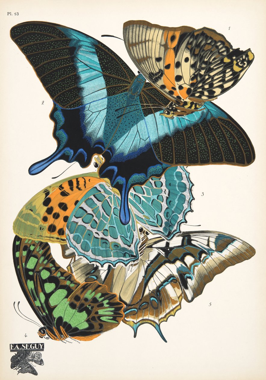 プレート 13、Butterflies、パブから。 1925年（ステンシルプリント） 作： エミール・アラン・セギ