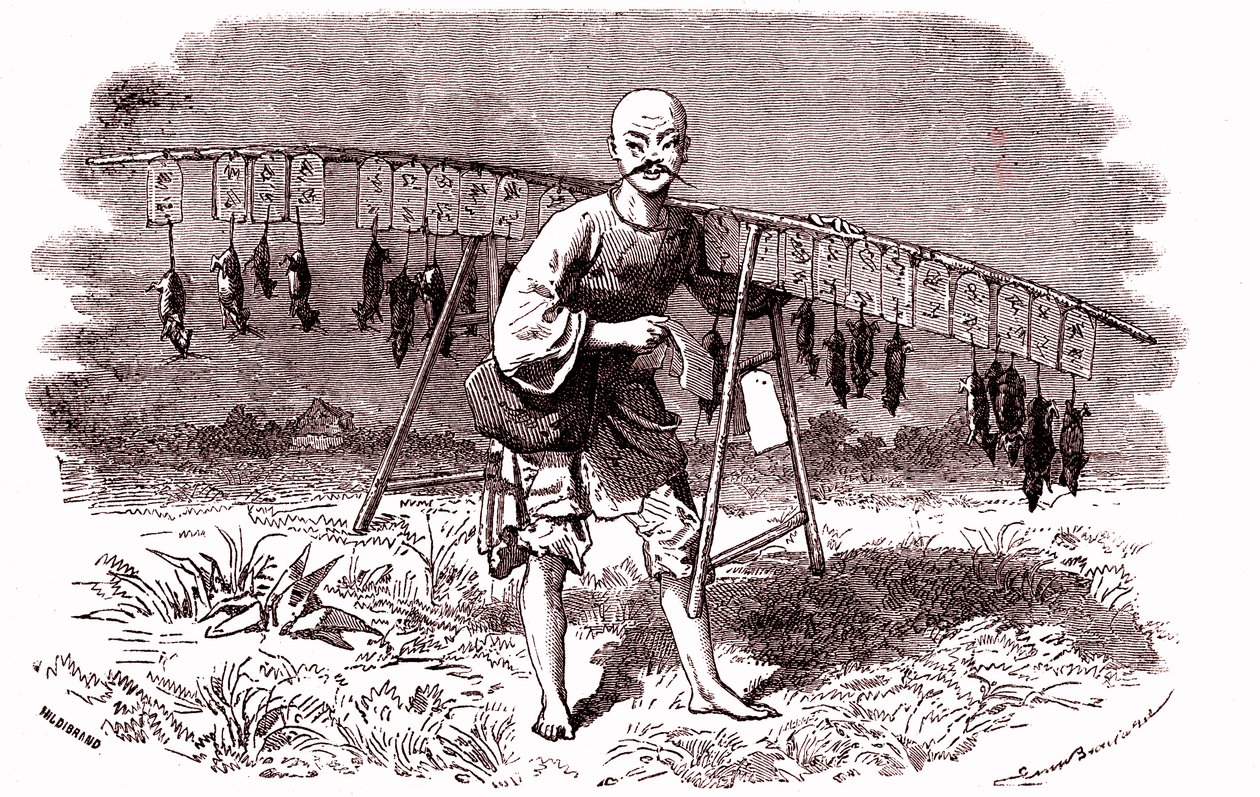 1874年、中国でのネズミ退治（エングレーヴィング） 作： エミール・アントワーヌ・バヤール