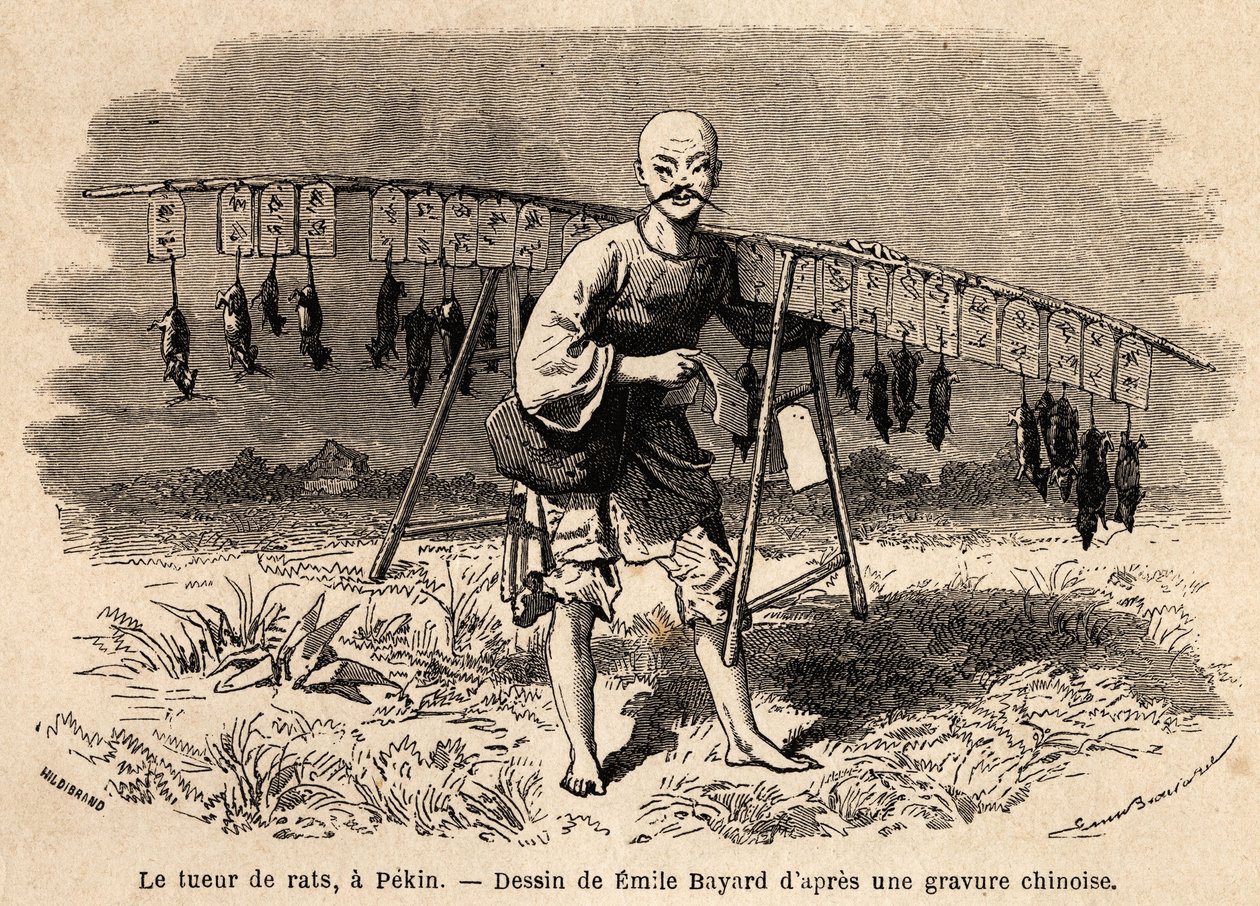 ペキンのネズミ退治。1859年から1862年にかけて、駐中国フランス公使M.de Bourboulonが行った上海からモスクワへの旅を説明するために、Emile Bayard（1837-1891）が描いたもの。エドゥアール・シャルトン編集の「Le tour du monde」に掲載されている図版 作： エミール・アントワーヌ・バヤール