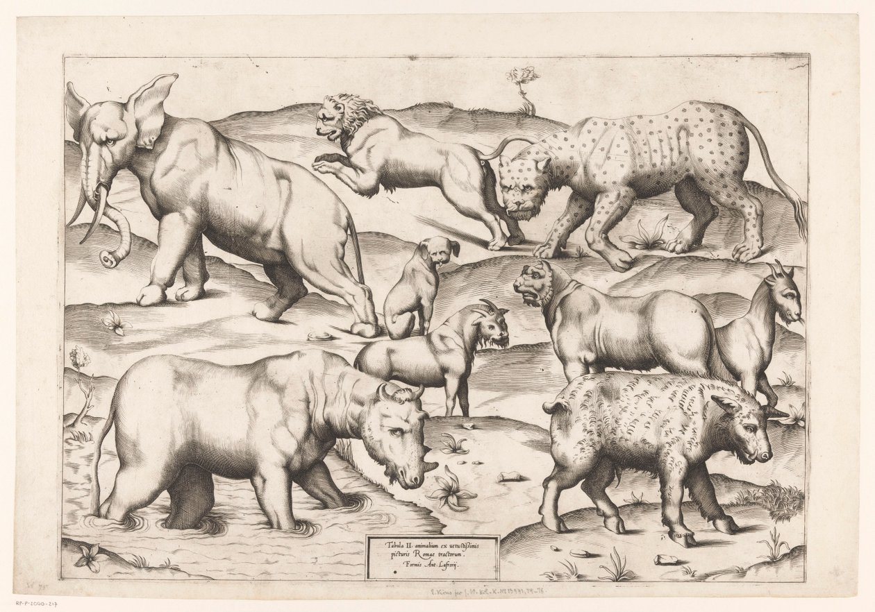 九匹の動物 アンティーク壁画の動物たち（シリーズタイトル） Speculum Romanae Magnificentiae (シリーズ名) 作： エネア・ヴィーコ（帰属）