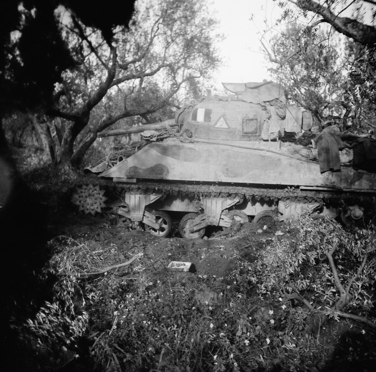 地雷原で爆破された2Tpタンク、1944年頃 作： 英語の写真家