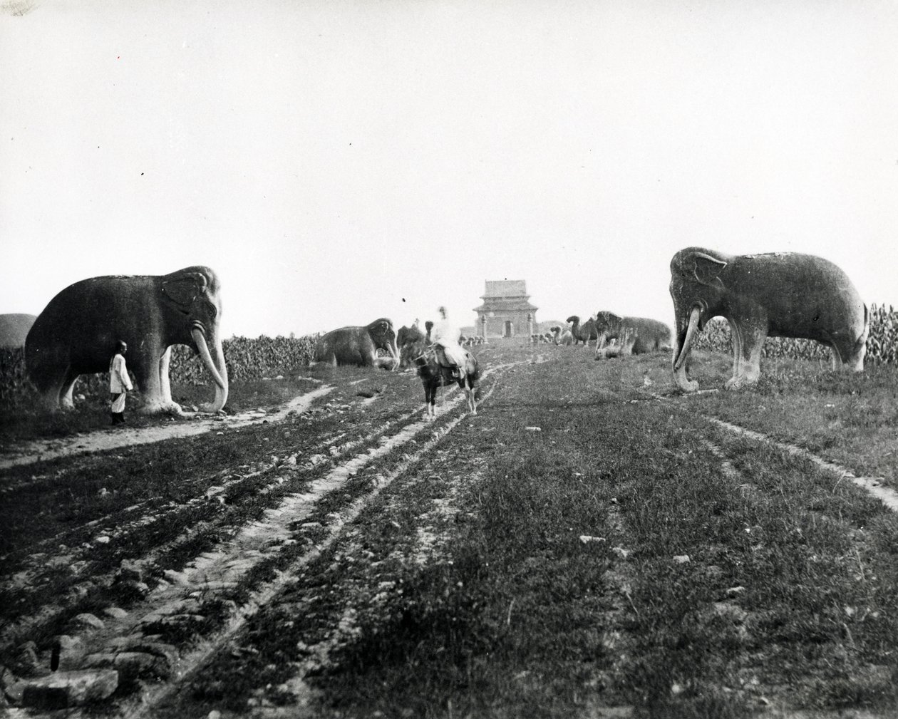 明の墓に通じる守護動物の大道、北京、1868年〜70年 作： 英語の写真家